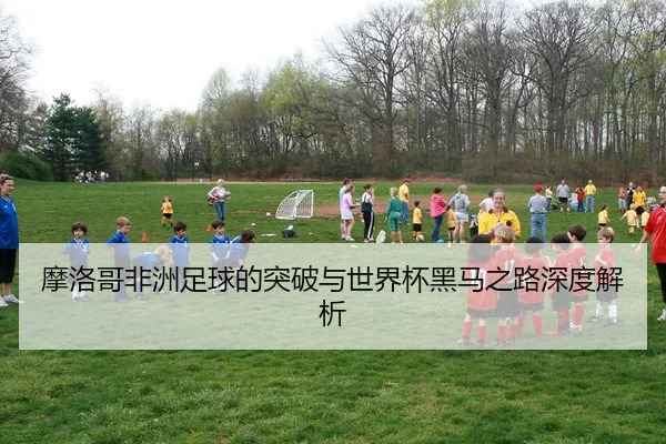 摩洛哥非洲足球的突破与世界杯黑马之路深度解析